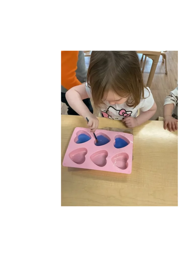 STEAM curriculum