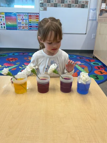 what makes gallatin premier childcare different?